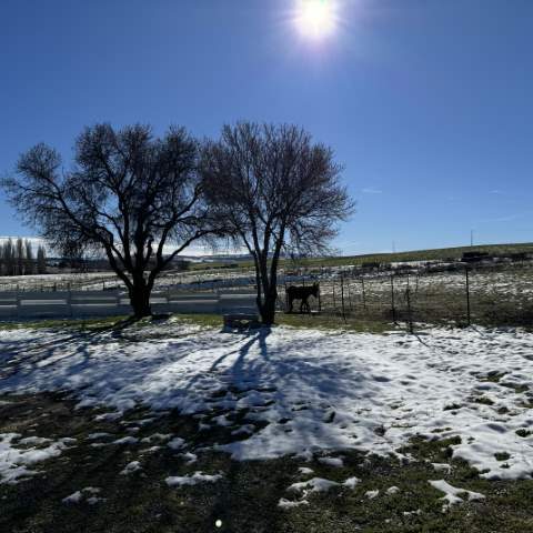 Casa Rural cerca de Ávila